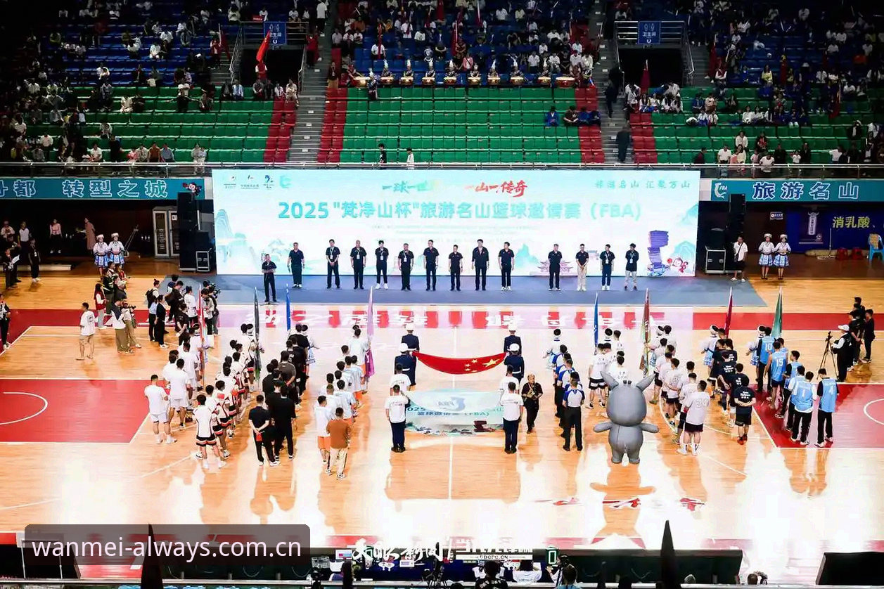 完美体育官方2025新版登录避坑实用指南：从入口选择到数据验证的完整路径